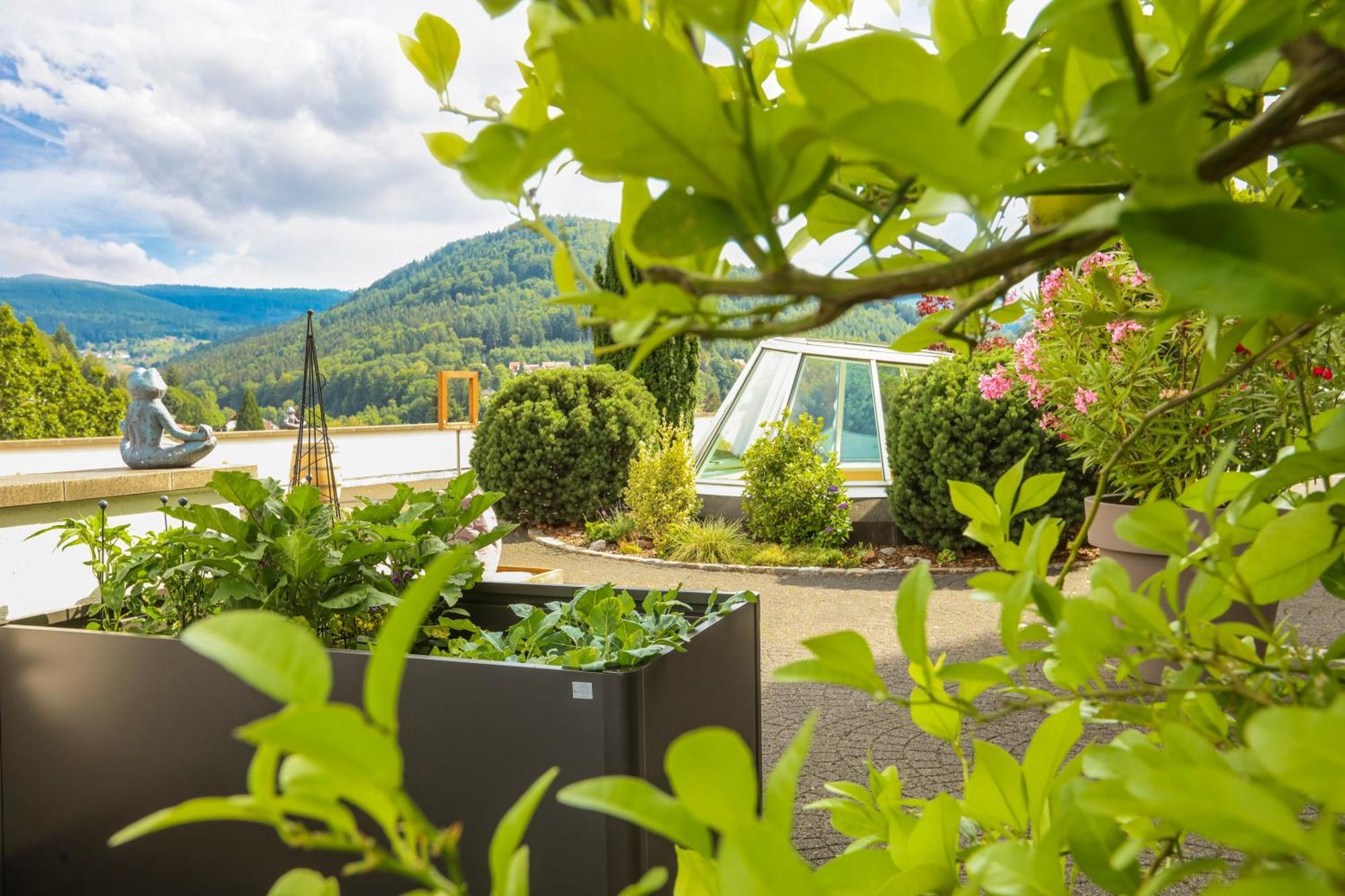 Schwarzwald Panorama Hotell Bad Herrenalb Exteriör bild