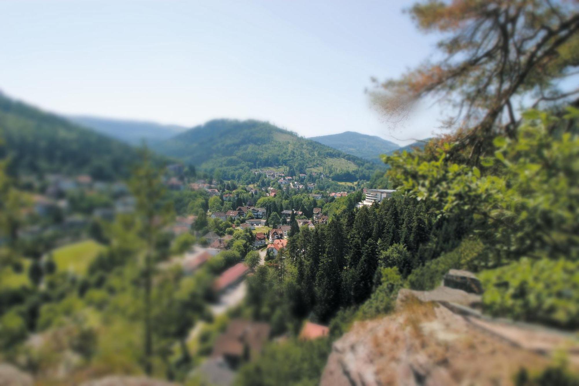 Schwarzwald Panorama Hotell Bad Herrenalb Exteriör bild